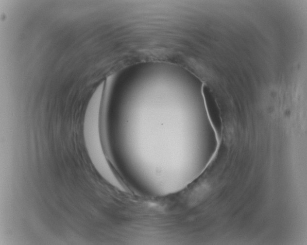 X0000083061010200702232015