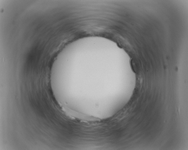 X0000083061012200702232015