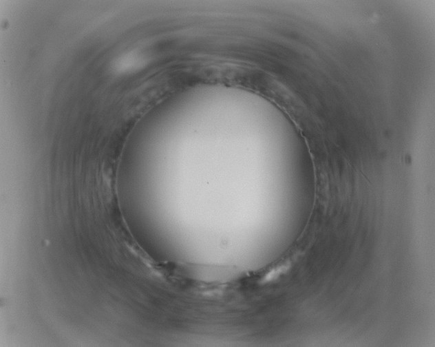 X0000083061013200702232015