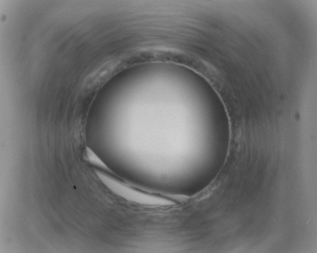 X0000083061014200702232015