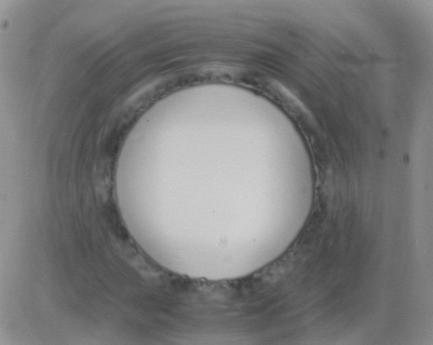 X0000083061015200702232015