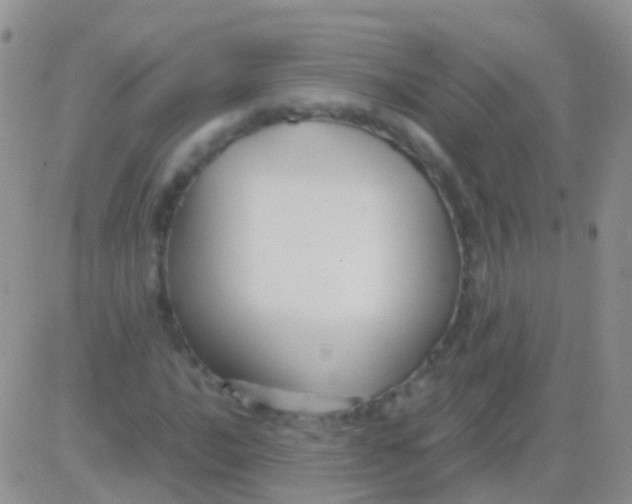 X0000083061016200702232016