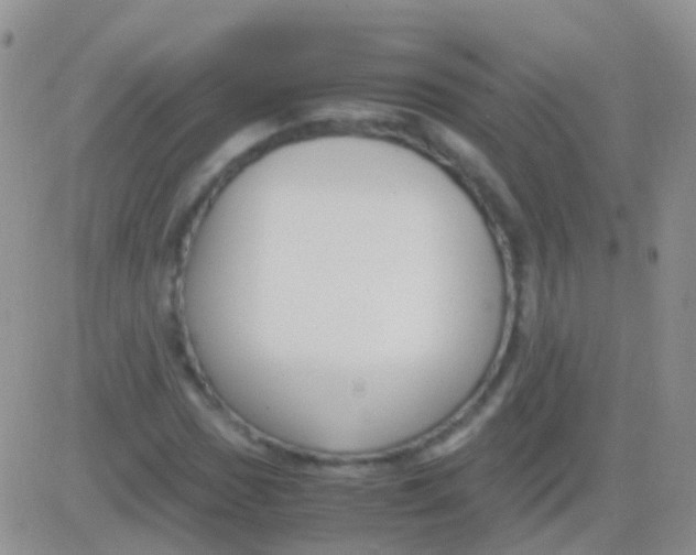 X0000083061017200702232016