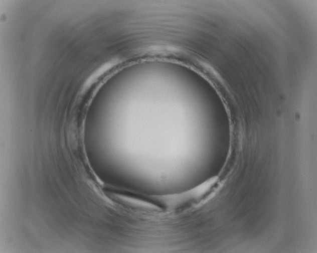 X0000083061018200702232016