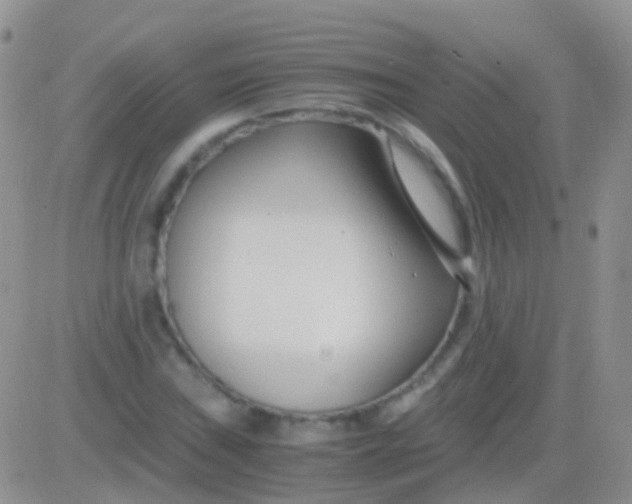 X0000083061019200702232016