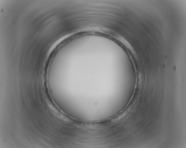 X0000083061020200702232016