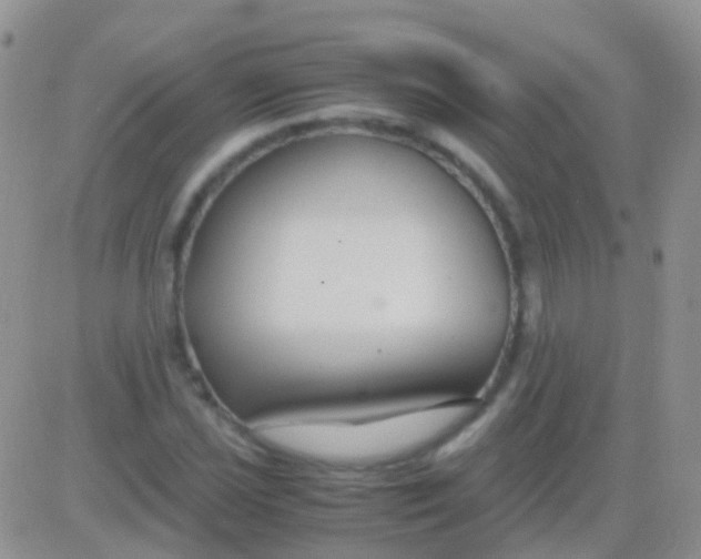 X0000083061021200702232016