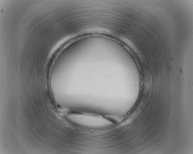 X0000083061022200702232016