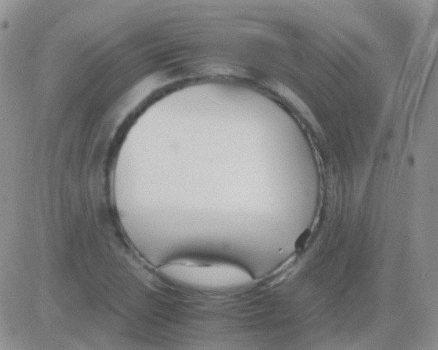 X0000083061023200702232016