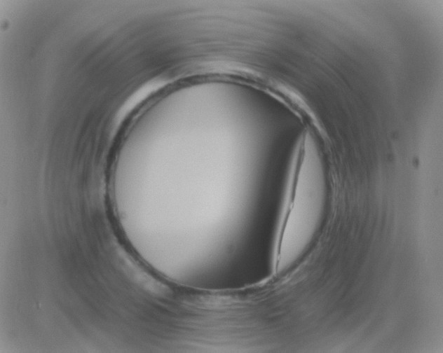 X0000083061024200702232016