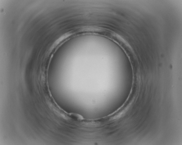 X0000083061025200702232016