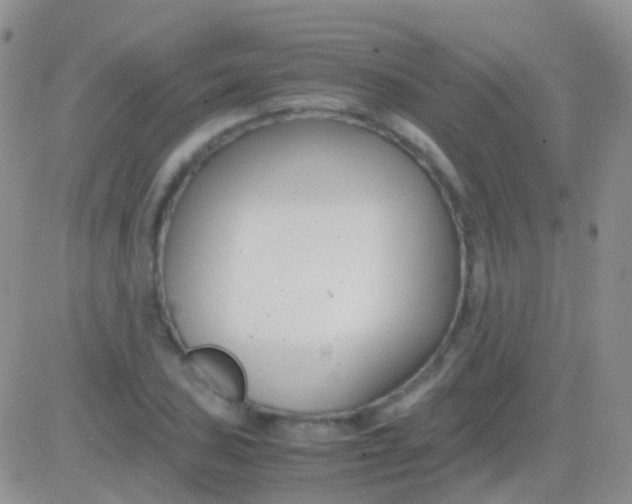 X0000083061027200702232016