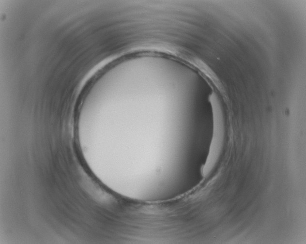 X0000083061028200702232016