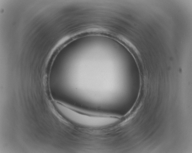 X0000083061029200702232016