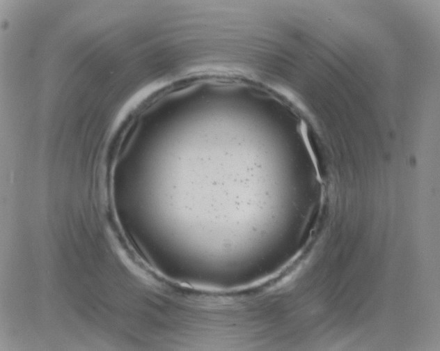 X0000083061030200702232016