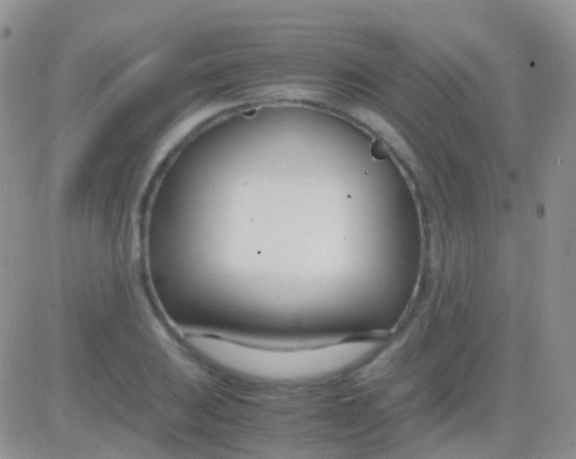 X0000083061031200702232016