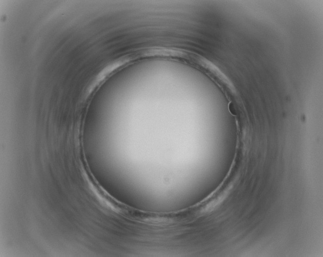 X0000083061033200702232016