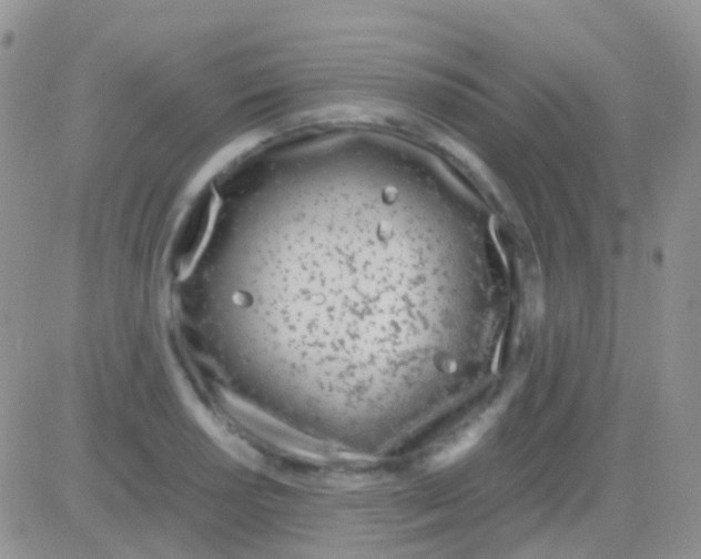 X0000083061034200702232016