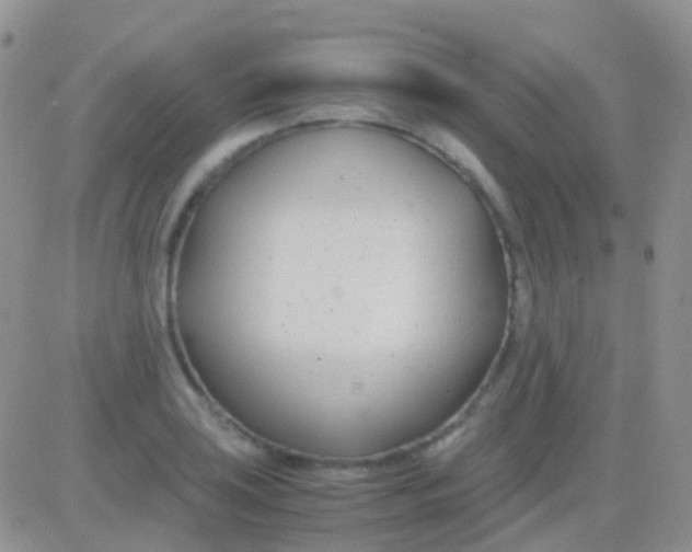 X0000083061035200702232016