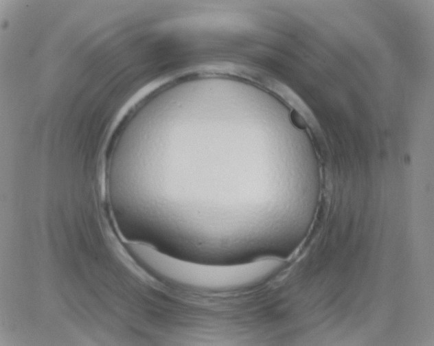 X0000083061036200702232016