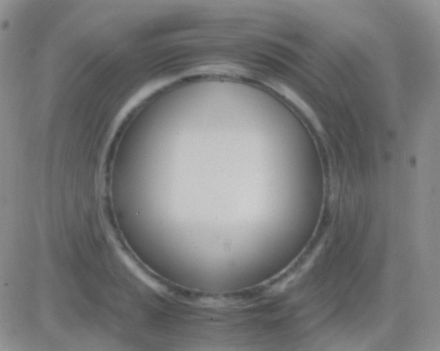 X0000083061037200702232016