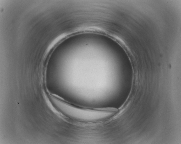 X0000083061038200702232016