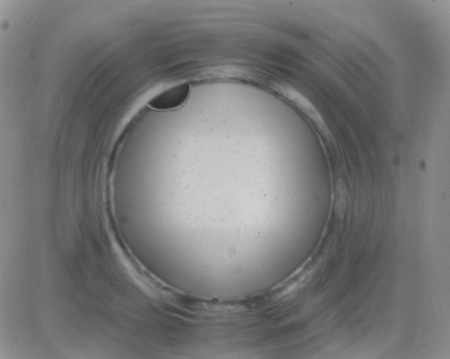 X0000083061039200702232016