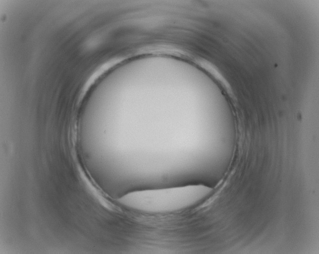 X0000083061040200702232016