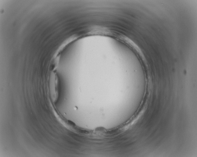 X0000083061041200702232016