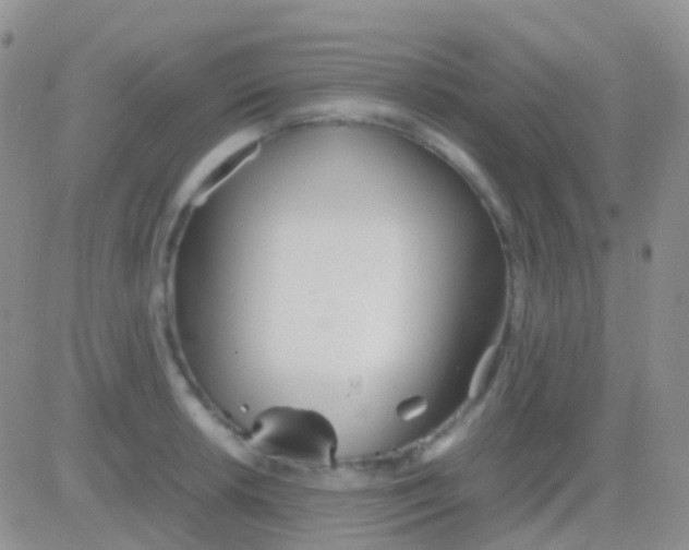 X0000083061042200702232016