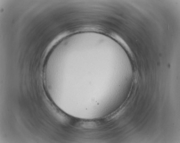 X0000083061043200702232016