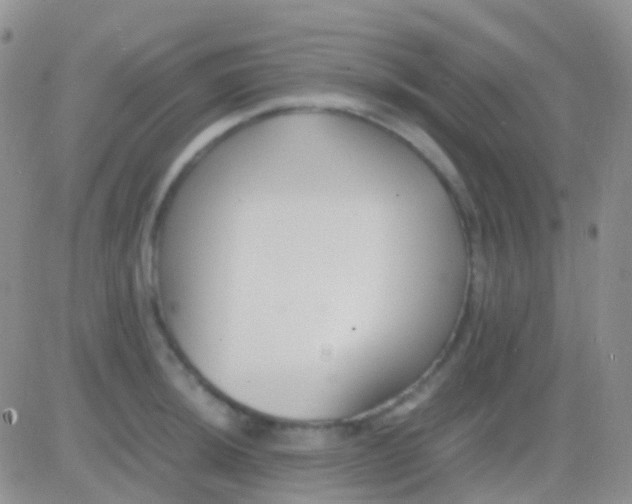 X0000083061044200702232016