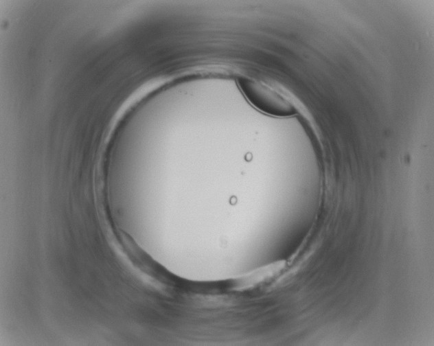 X0000083061045200702232016