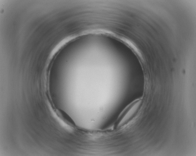 X0000083061046200702232016