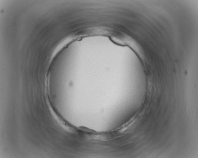 X0000083061047200702232016