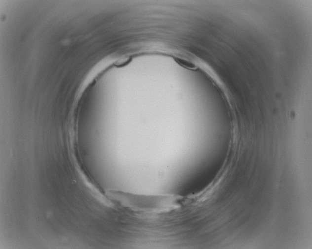 X0000083061048200702232016