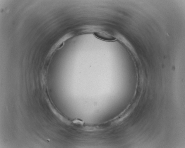 X0000083061049200702232016