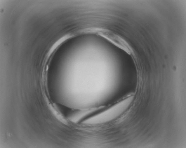 X0000083061050200702232016