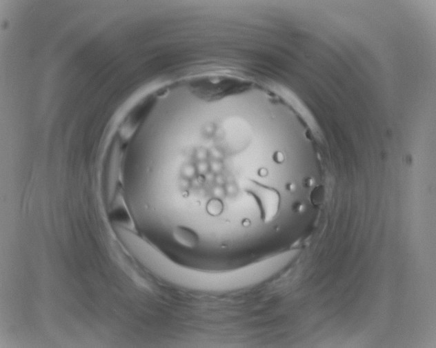 X0000083061051200702232016