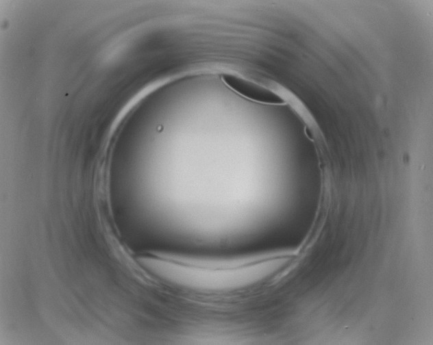 X0000083061052200702232016