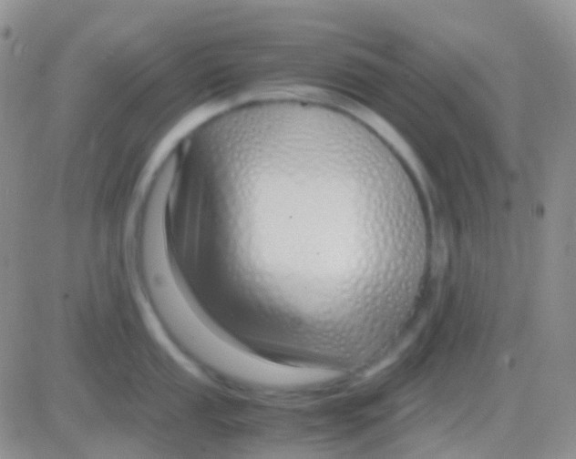 X0000083061053200702232016