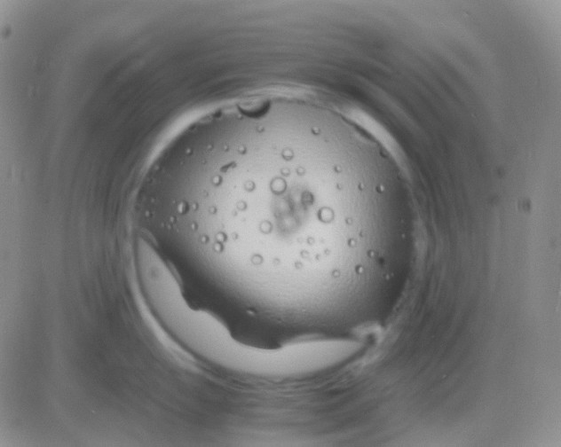 X0000083061055200702232016