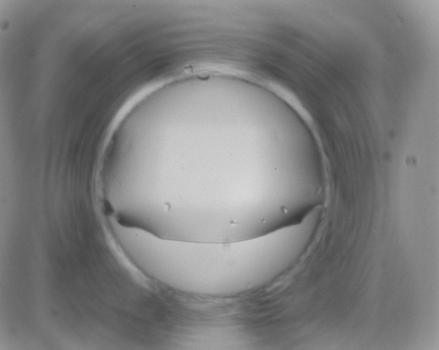 X0000083061056200702232016