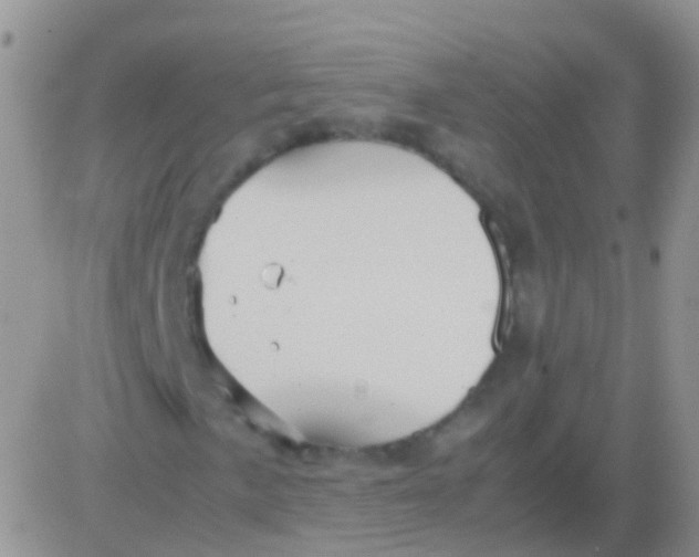 X0000083061057200702232015