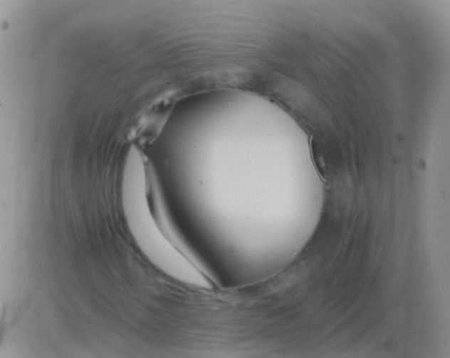 X0000083061058200702232015