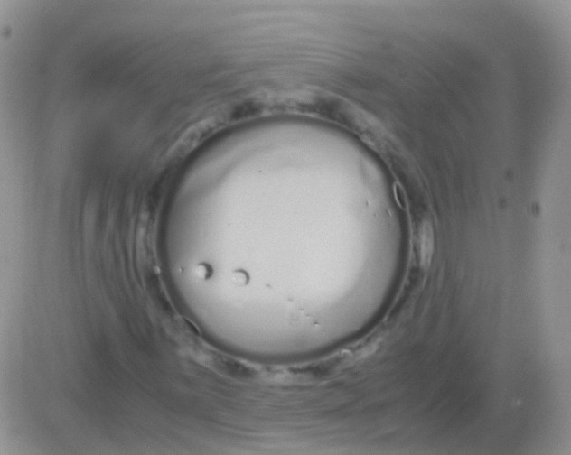 X0000083061059200702232015