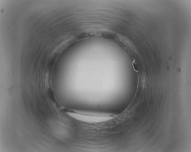 X0000083061060200702232015