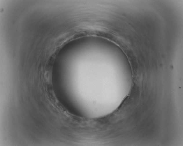 X0000083061061200702232015