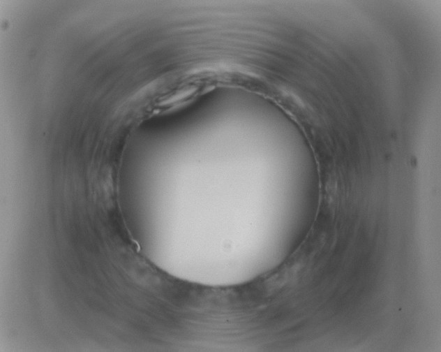 X0000083061062200702232015