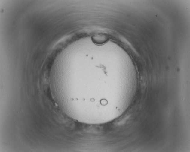 X0000083061063200702232015